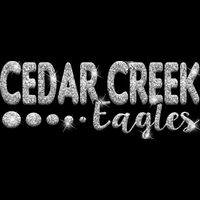 GLT80 SILVER GLITTER Thumbnail